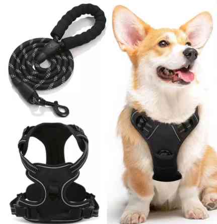 Продаю шлейки для крупных,средних и мелких пород собак по разным Бишкек