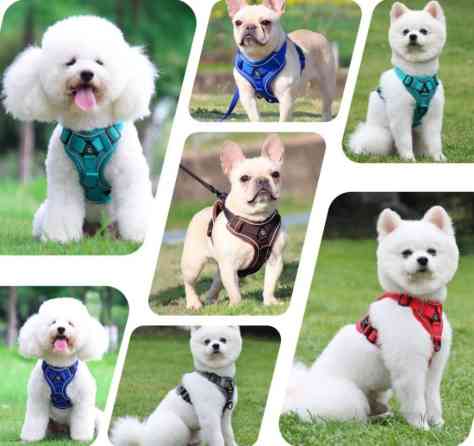 Продаю шлейки для крупных,средних и мелких пород собак по разным Бишкек