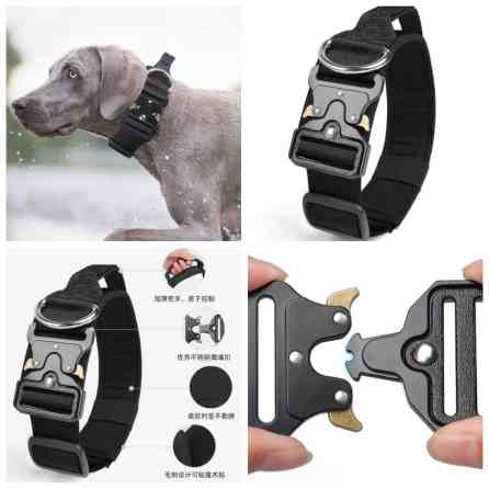 Продаю ошейники для крупных,средних и мелких пород собак по разным Бишкек