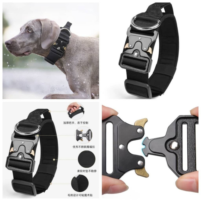 Продаю ошейники для крупных,средних и мелких пород собак по разным Бишкек - изображение 1