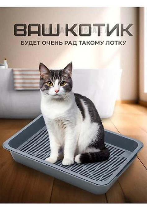 Новый Лоток для кошек и маленьких собак с решеткой. В подарок савок Бишкек - изображение 1