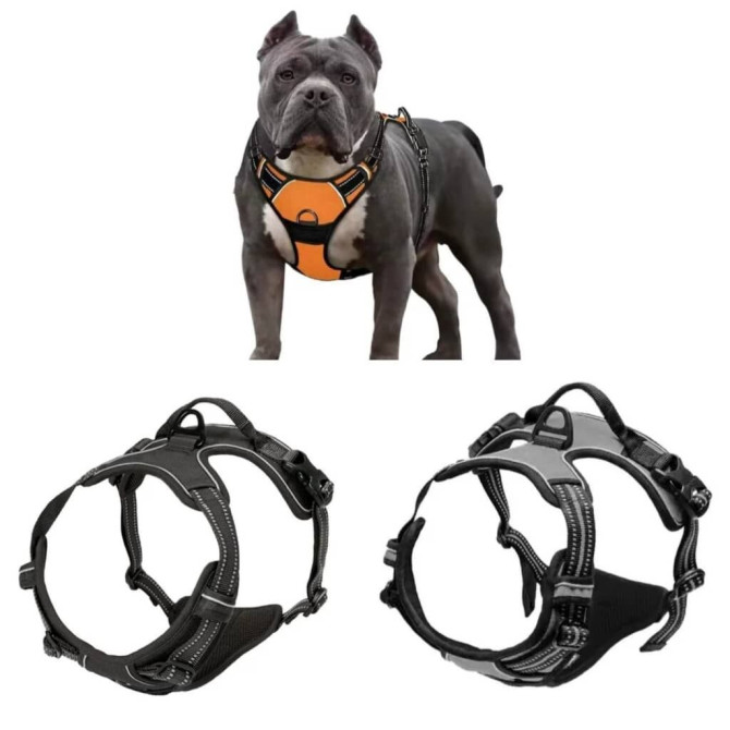 Продаю шлейки для крупных,средних и мелких пород собак по разным Бишкек - изображение 1