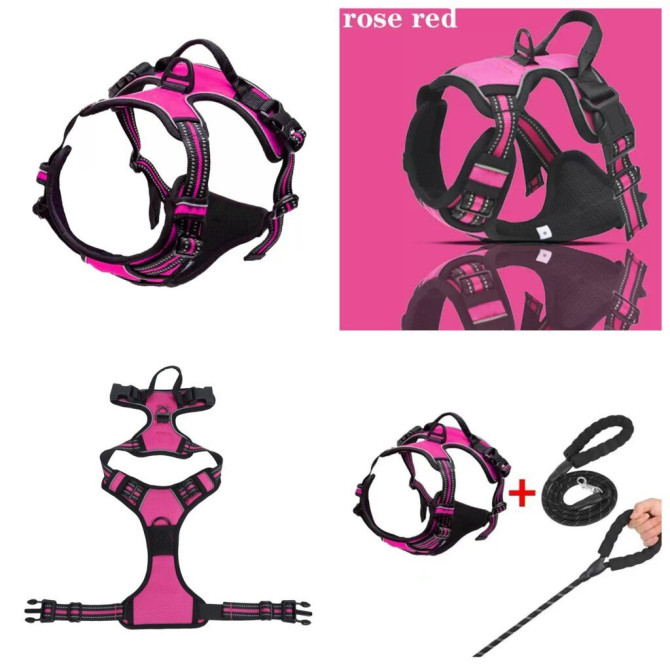 Продаю шлейки для крупных,средних и мелких пород собак по разным Бишкек - изображение 1