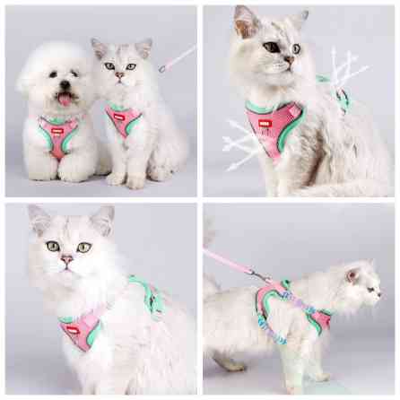 Продаю шлейки для крупных,средних и мелких пород собак по разным Бишкек