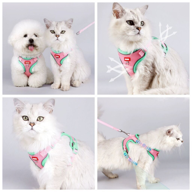 Продаю шлейки для крупных,средних и мелких пород собак по разным Бишкек - изображение 1