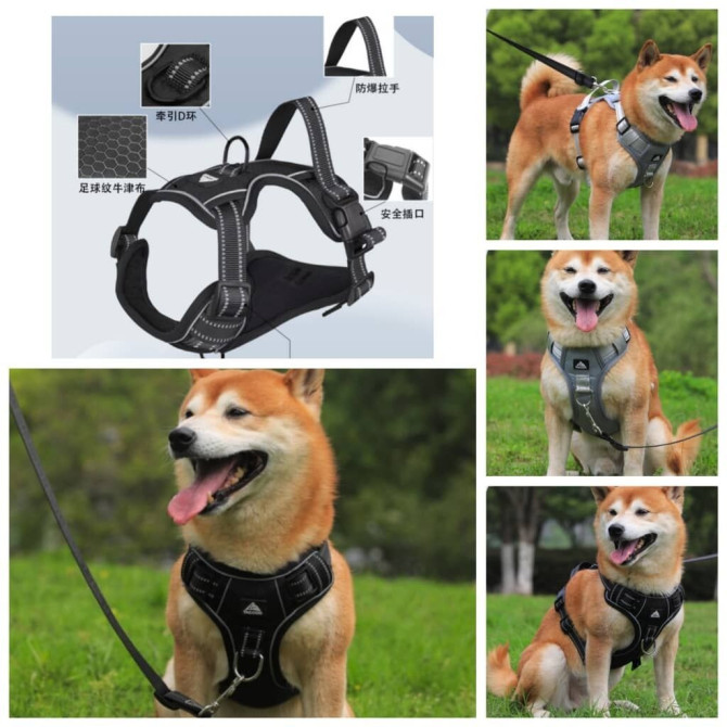 Продаю шлейки для крупных,средних и мелких пород собак по разным Бишкек - изображение 1