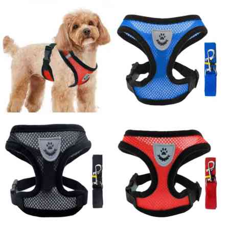 Продаю шлейки для кошек и собак крупных,средних и мелких пород по Бишкек