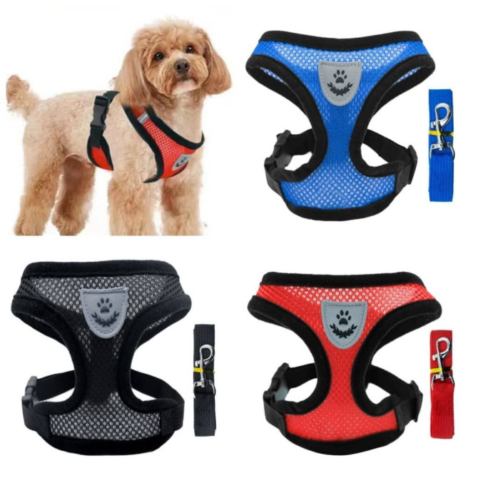 Продаю шлейки для кошек и собак крупных,средних и мелких пород по Бишкек - изображение 1