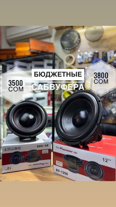 Сабвуферный динамик. 10 и 12 дюймов. Очень доступные по цене динамики Бишкек - изображение 1