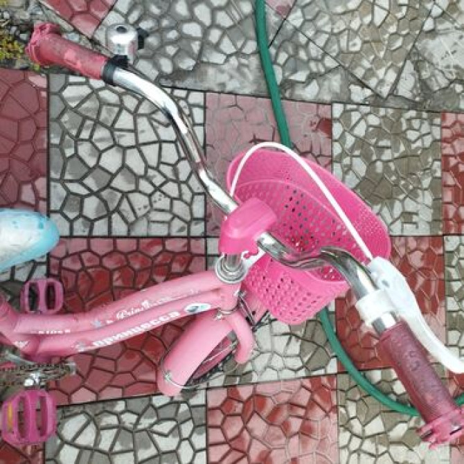 Детский велосипед, 2-колесный, 4 - 6 лет, Для девочки, Б/у Бишкек - изображение 4