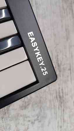 MIDI-клавиатура Worlde EASYKEY.25 - Компактная USB MIDI-клавиатура на Бишкек