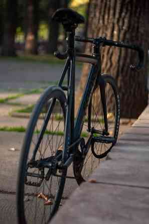 Colossi lowpro Размер Бишкек