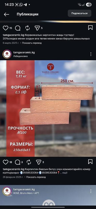 Керамический, Рифленый, Пустотелый, дырчатый кирпич, Евро, 250×60×65 Бишкек - изображение 1