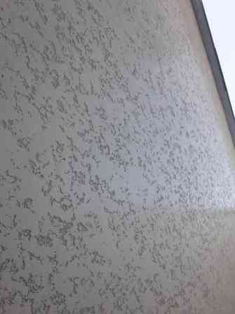 Декоративная фасадная отделка «короед»/структурная штукатурка - Бишкек