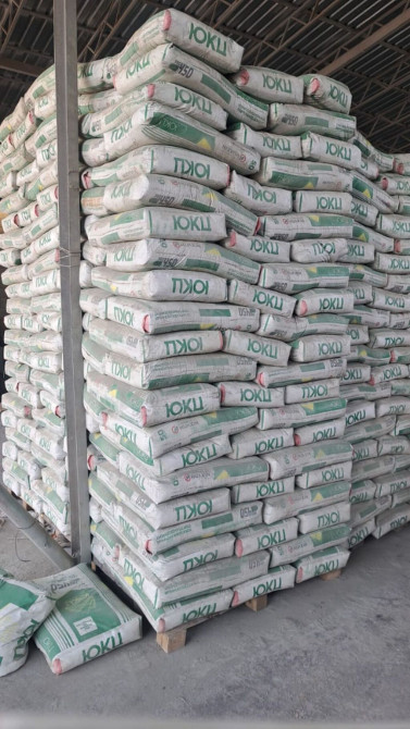 Южно-Кыргызский (ЮКЦ) цемент, M-450, 50 кг/м³, Оптом Бишкек - сүрөт 1