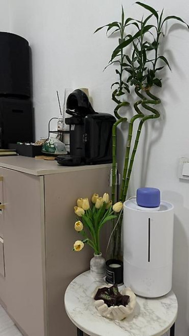 Кофеварка, кофемашина, Б/у, Самовывоз Бишкек - изображение 2