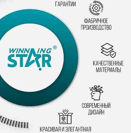 Электрический аэрогриль WINNING STAR — здоровая кухня без лишнего Бишкек