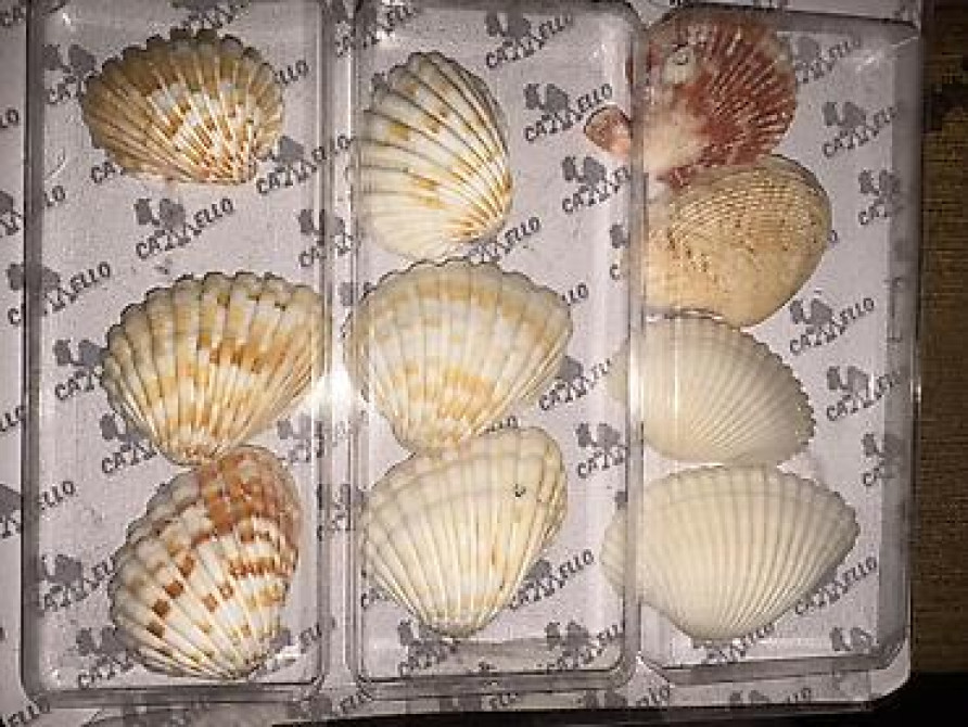 Натюрморт акварель авторск раб молод художницы разм А-4 Гравюра по Бишкек - изображение 8