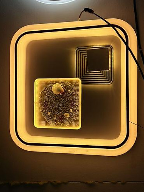 Светодиодные потолочные/настенные светильники с декоративной Bishkek - photo 2