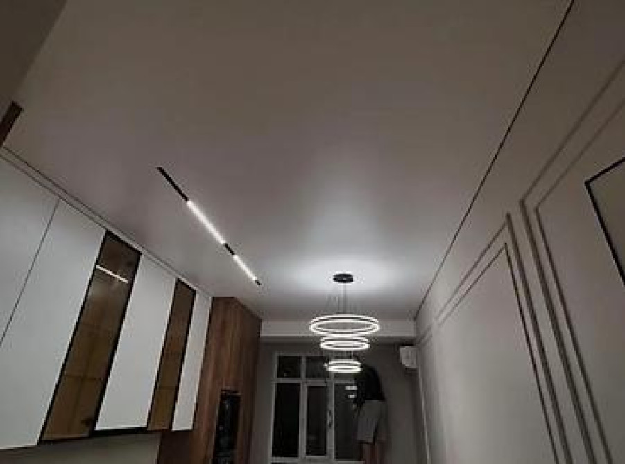 Трековая система освещения с черным корпусом, предназначенная для Bishkek - photo 3