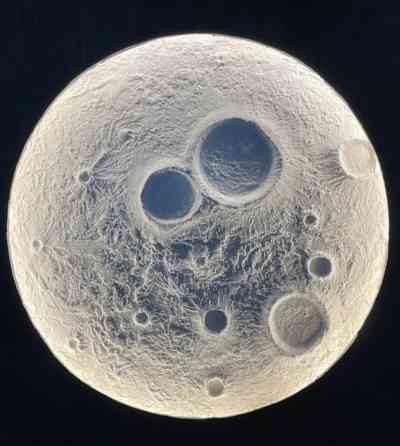 Арт-бетона: • стены • фасады домов • имитация камня, скалы, старого Бишкек