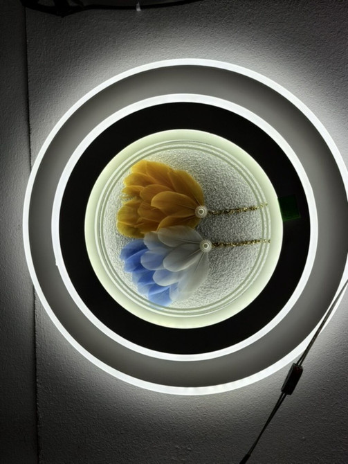 Настенный/потолочный светильник с декоративным центром - Тип Бишкек - изображение 1