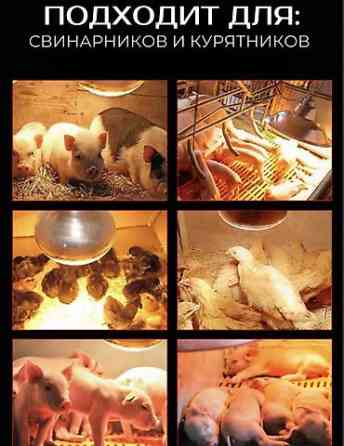 Греющая | Отопительная | Инфракрасная лампа для обогрева птиц и Бишкек