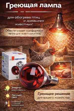Греющая | Отопительная | Инфракрасная лампа для обогрева птиц и Бишкек