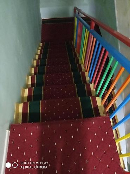 Ковровая дорожка Новый, Современный Бишкек - изображение 45