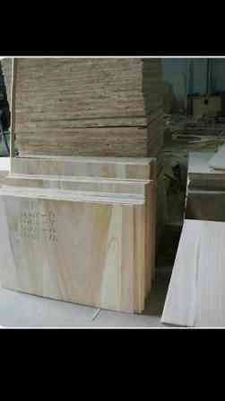 Павловния (z -07 pao tong) морозостойкий, тройной супер гибрид Bishkek