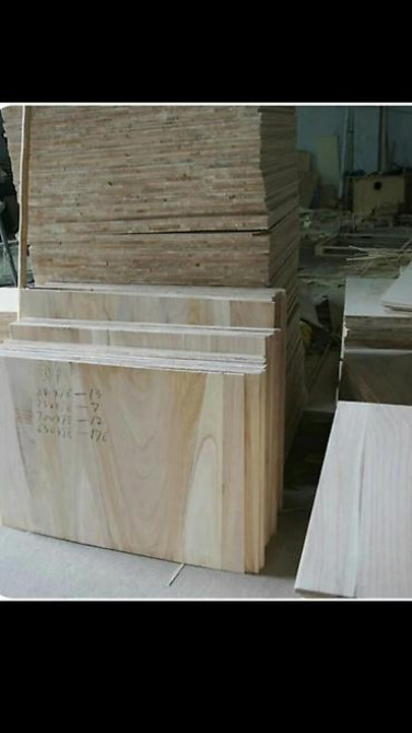 Павловния (z -07 pao tong) морозостойкий, тройной супер гибрид Bishkek - photo 18