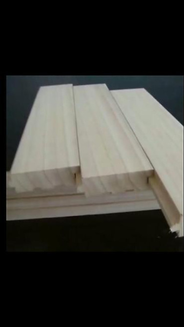 Павловния (z -07 pao tong) морозостойкий, тройной супер гибрид Bishkek - photo 17