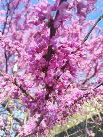 Снимем комнату в Октябрьском районе, мать и сын.Порядок и чистоту Bishkek