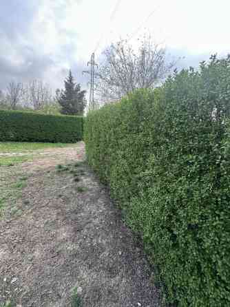 Самовывоз Bishkek