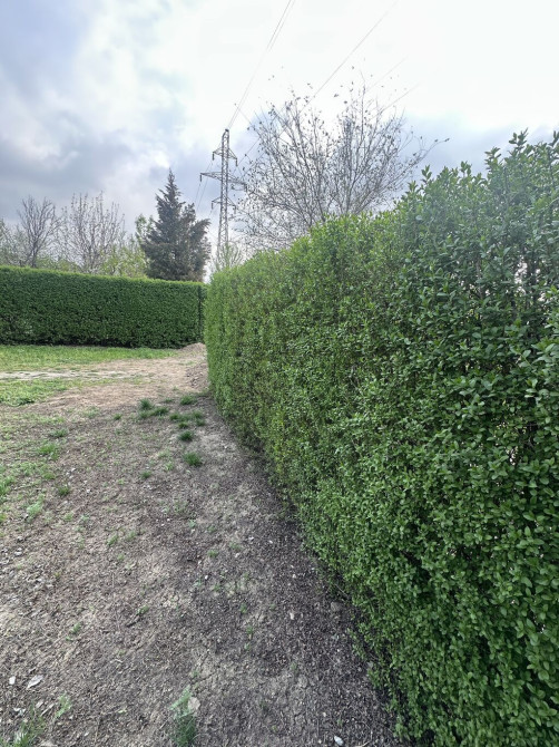 Самовывоз Bishkek - photo 1