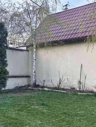 Саженцы Bishkek