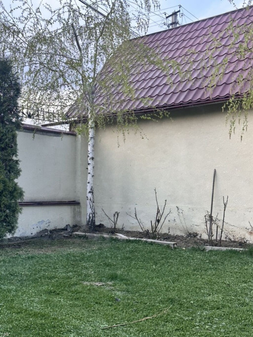 Саженцы Bishkek - photo 1