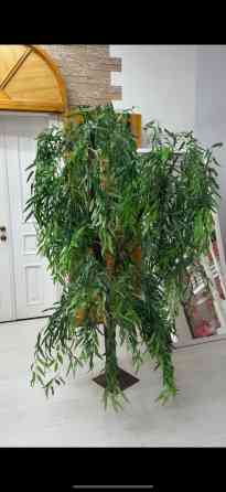 Самовывоз Bishkek