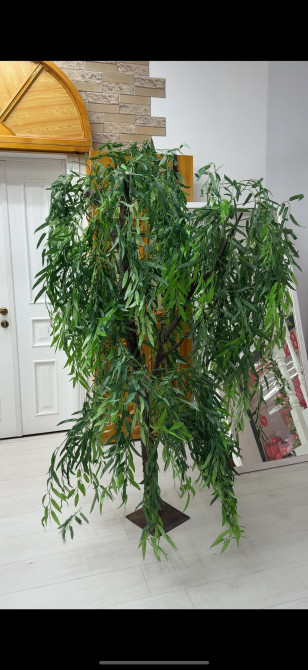 Самовывоз Bishkek - photo 1