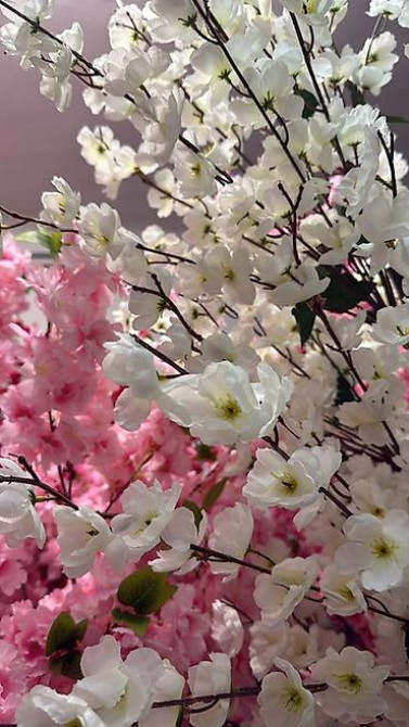 Искусственные декоративные деревья сакуры/вишни для оформления Bishkek - photo 15