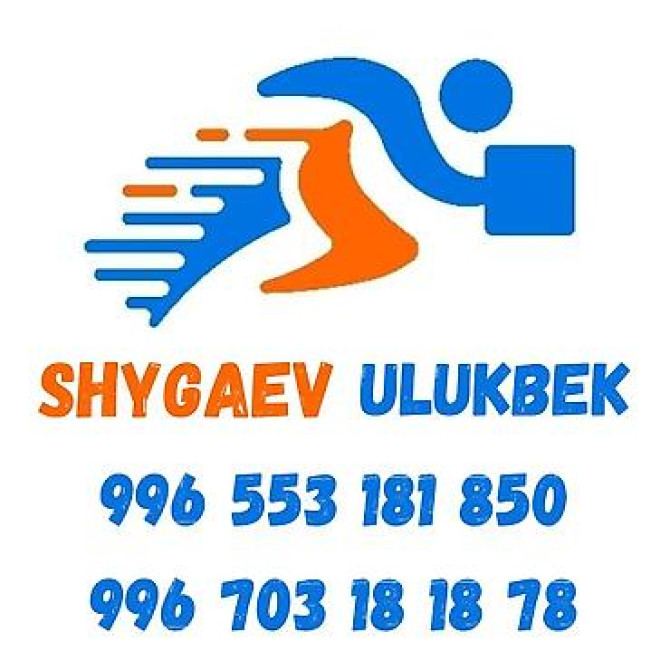 Пихта семёнова 6м. Пихта ещё есть от 1 метра до 5метров заказывайте Бишкек - изображение 21