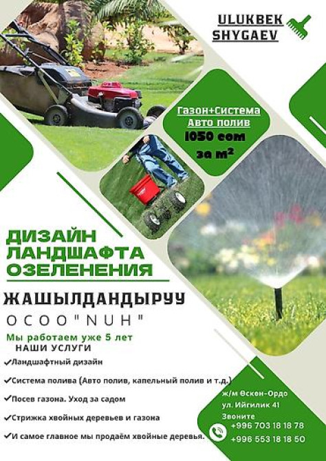 Пихта семёнова 6м. Пихта ещё есть от 1 метра до 5метров заказывайте Бишкек - изображение 32