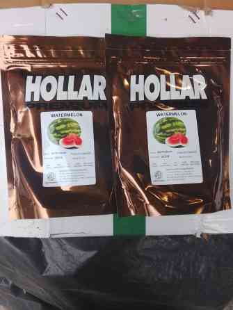 Семена арбуза Hollar Premium, сорт AU-Producer. - Производитель Bishkek