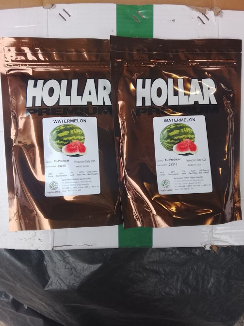 Семена арбуза Hollar Premium, сорт AU-Producer. - Производитель Bishkek - photo 1