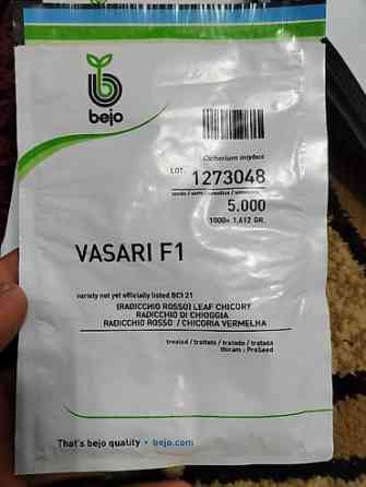 Семена арбуза Hollar Premium — сорт Crimson Sweet - Культура Бишкек