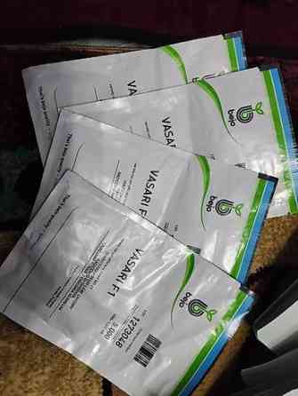 Семена арбуза Hollar Premium — сорт Crimson Sweet - Культура Бишкек