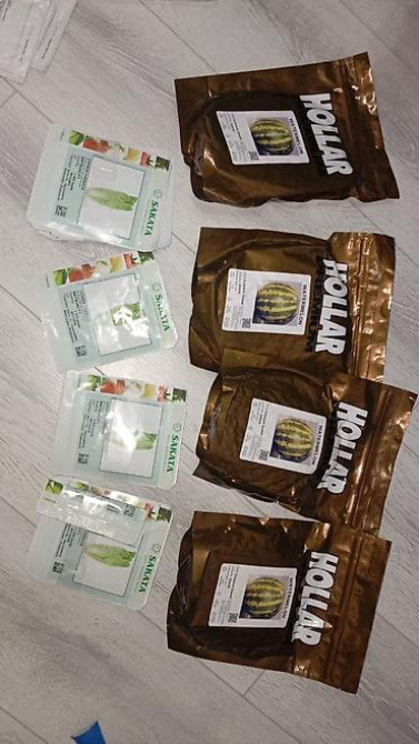 Семена арбуза Hollar Premium — сорт Crimson Sweet - Культура Бишкек - изображение 36