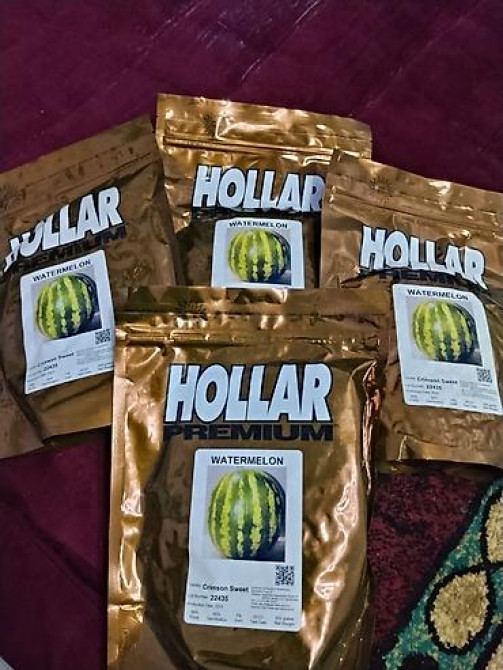 Семена арбуза Hollar Premium — сорт Crimson Sweet - Культура Бишкек - изображение 10