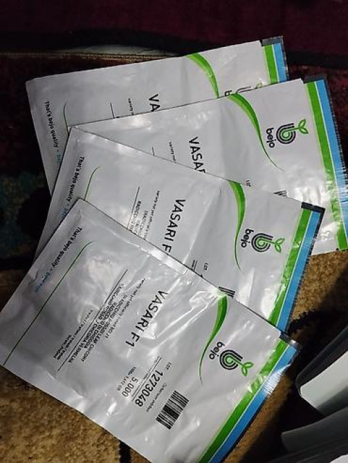 Семена арбуза Hollar Premium — сорт Crimson Sweet - Культура Бишкек - изображение 31