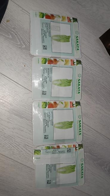 Семена арбуза Hollar Premium — сорт Crimson Sweet - Культура Бишкек - изображение 20